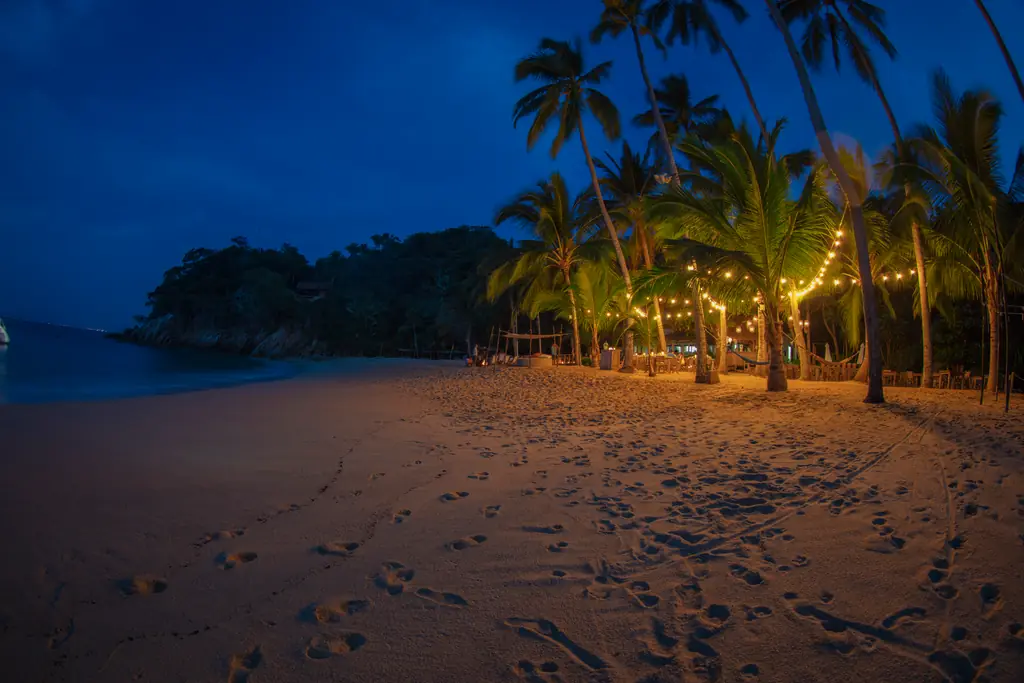 Majahuitas beach at dusk with string lights strung between the palms above the sand