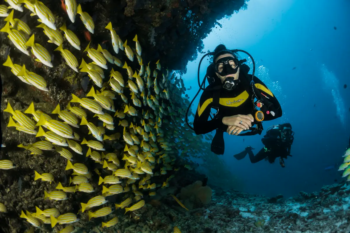 Puerto Vallarta Scuba diving trips